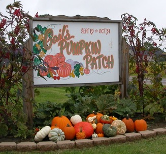 Gail's Pumpkin Patch